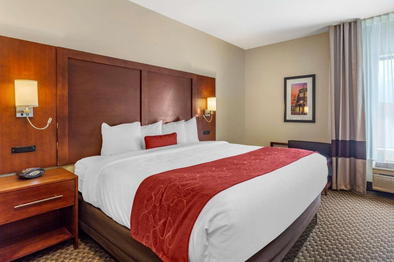 ממפיס Comfort Suites מראה חיצוני תמונה